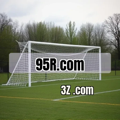 Plataforma Inovadora do 95r.com Para Todos os Jogadores